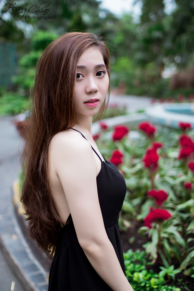 情节电影在线播放免费高清